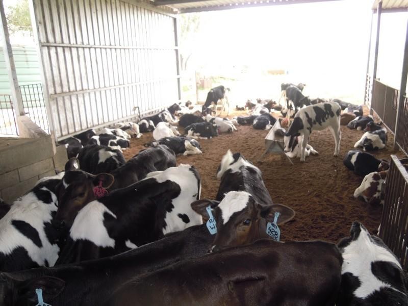 L15 Lochaber Road, Pittsworth QLD 4356