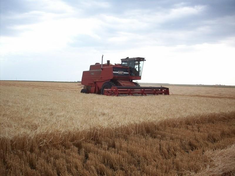 0 Pittsworth-Bongeen Road, Bongeen QLD 4356