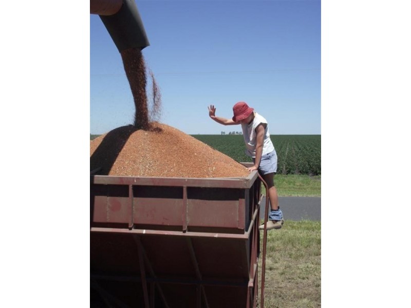 00 Pipeline Road, Bongeen QLD 4356