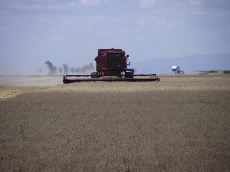 00 Pipeline Road, Bongeen QLD 4356