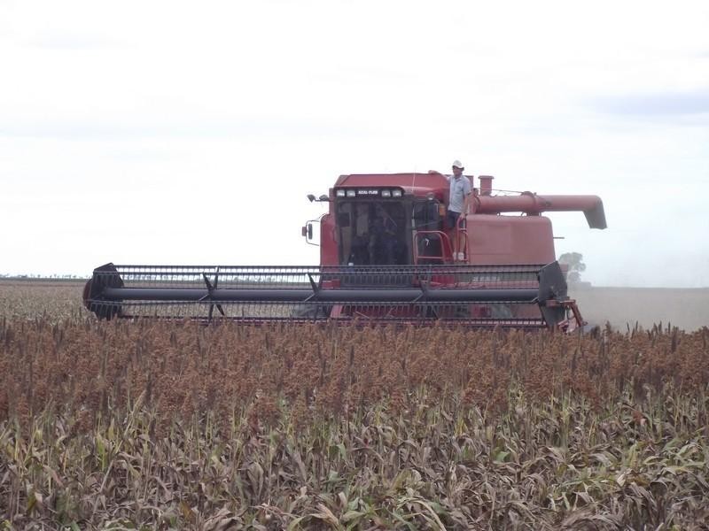 00 Pipeline Road, Bongeen QLD 4356