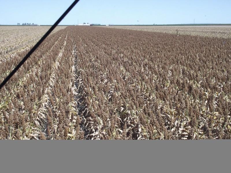 00 Pipeline Road, Bongeen QLD 4356