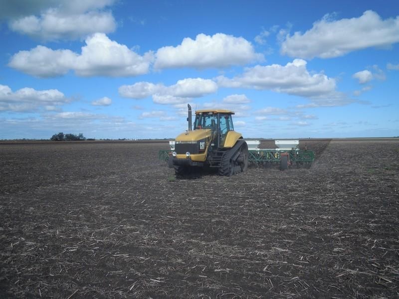 Cecil Plains QLD 4407