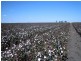 2094 West Prairie Road, Norwin QLD 4356