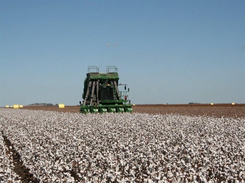 00 Evanslea Road, Jondaryan QLD 4403