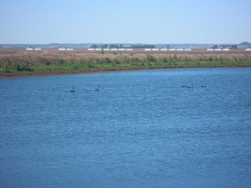 364 Matthews Rd, Mt Moriah, Jondaryan QLD 4403