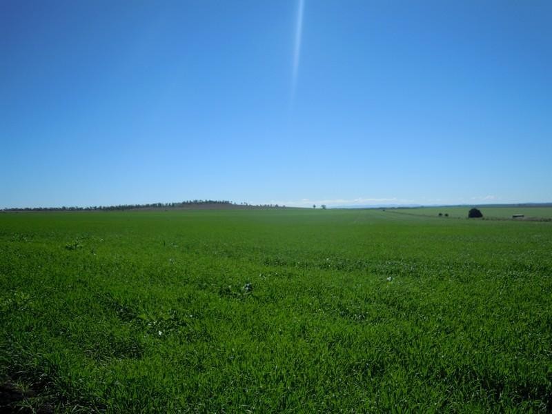 0 Matthews Road, Jondaryan QLD 4403