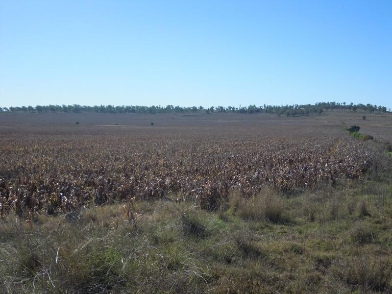 0 Matthews Road, Jondaryan QLD 4403