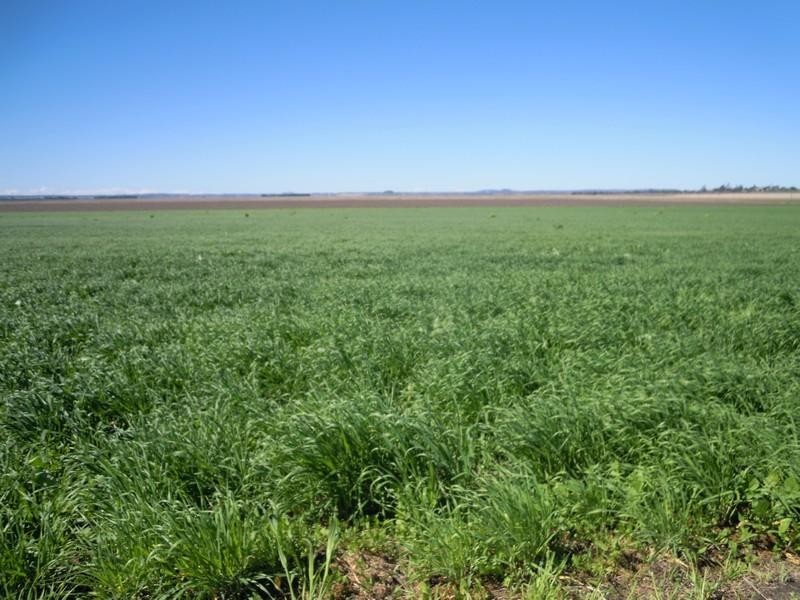 0 Matthews Road, Jondaryan QLD 4403