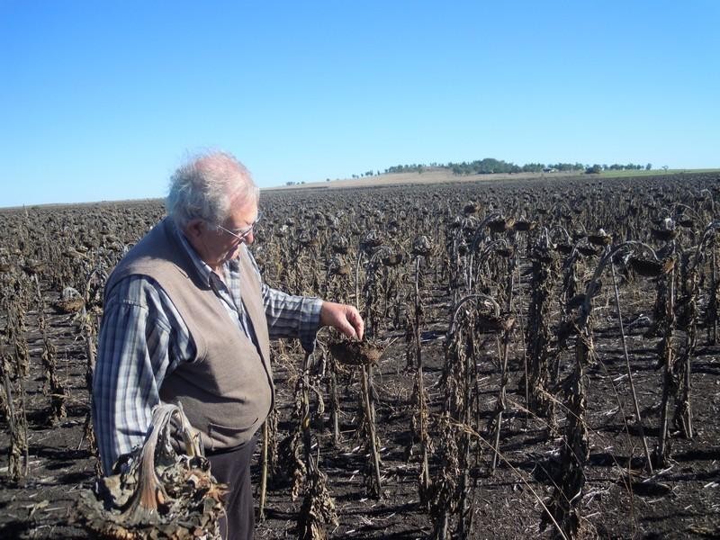 0 Matthews Rd, Mt Moriah, Jondaryan QLD 4403