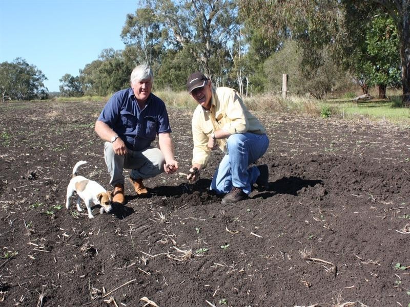 0 Booligar Road, Clifton QLD 4361