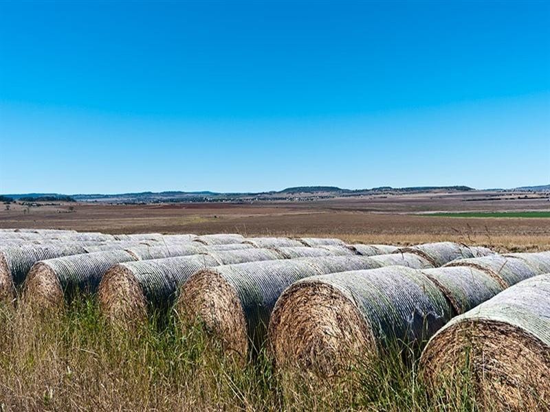 0 Rosenbergers Road, Wyreema QLD 4352