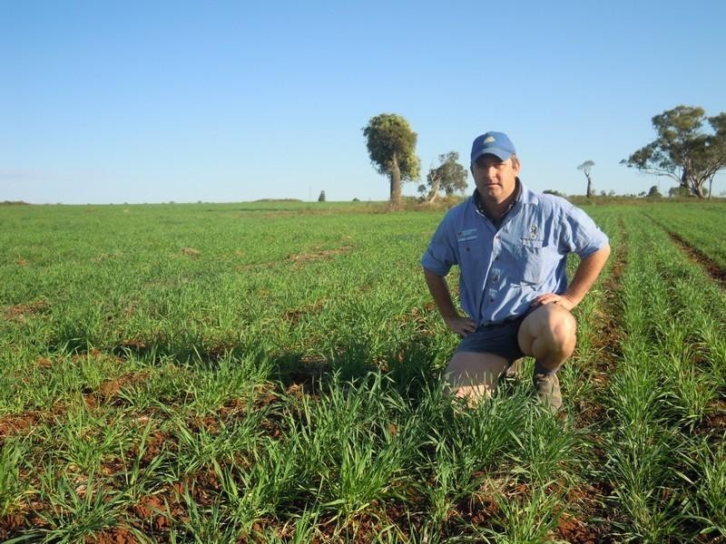 0 Wellcamp Lane, Jandowae QLD 4410