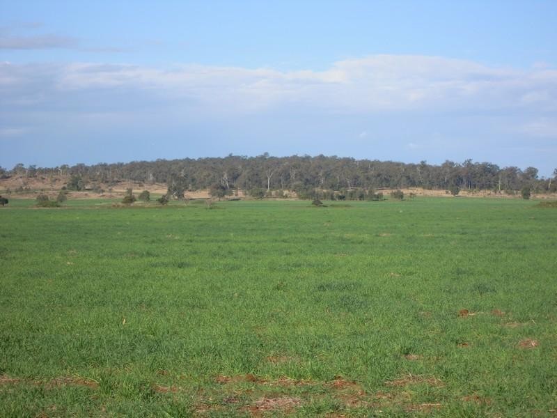 0 Wellcamp Lane, Jandowae QLD 4410