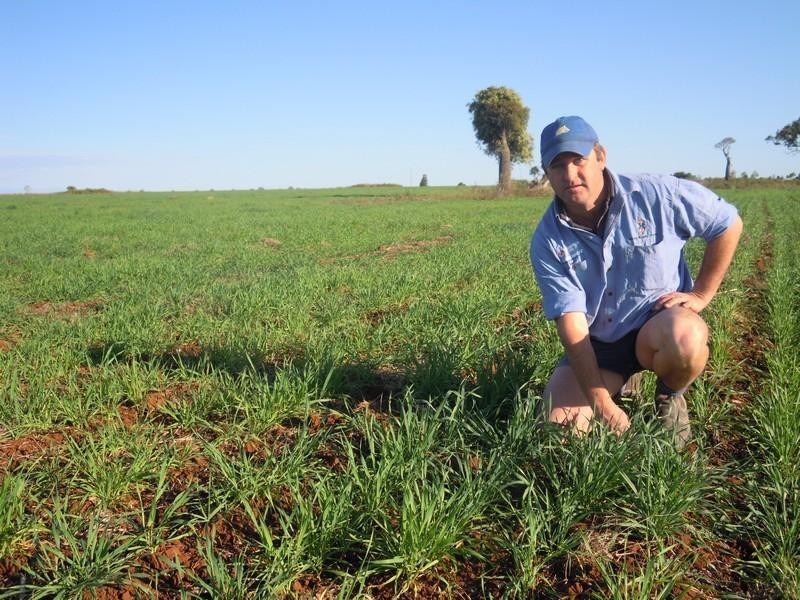 0 Wellcamp Lane, Jandowae QLD 4410