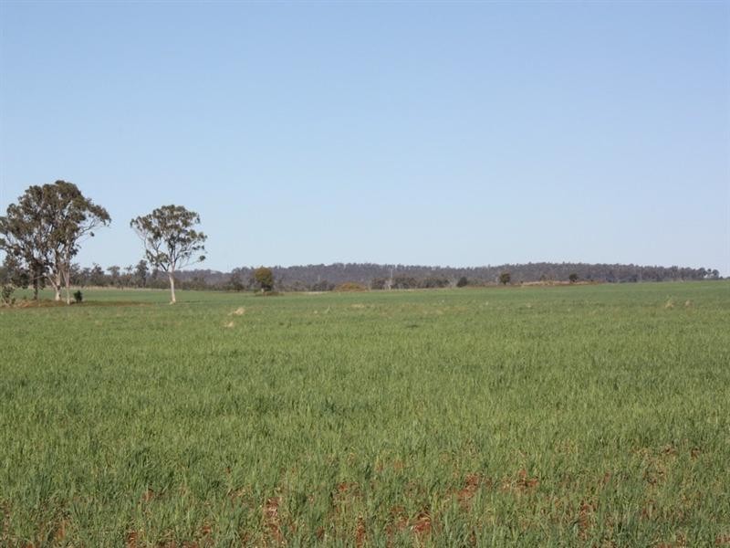 0 Wellcamp Lane, Jandowae QLD 4410