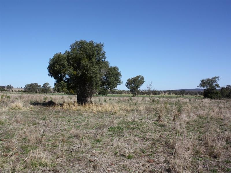 0 Wellcamp Lane, Jandowae QLD 4410