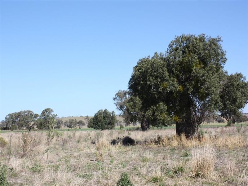 0 Wellcamp Lane, Jandowae QLD 4410