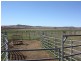 233 Motley-Mt Tyson Road, Mount Tyson QLD 4356