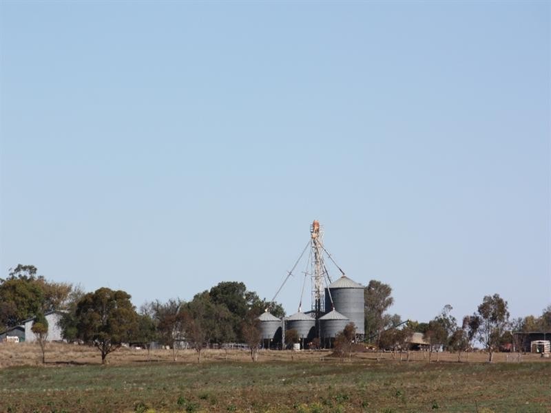 1698 Evanslea Road, Jondaryan QLD 4403