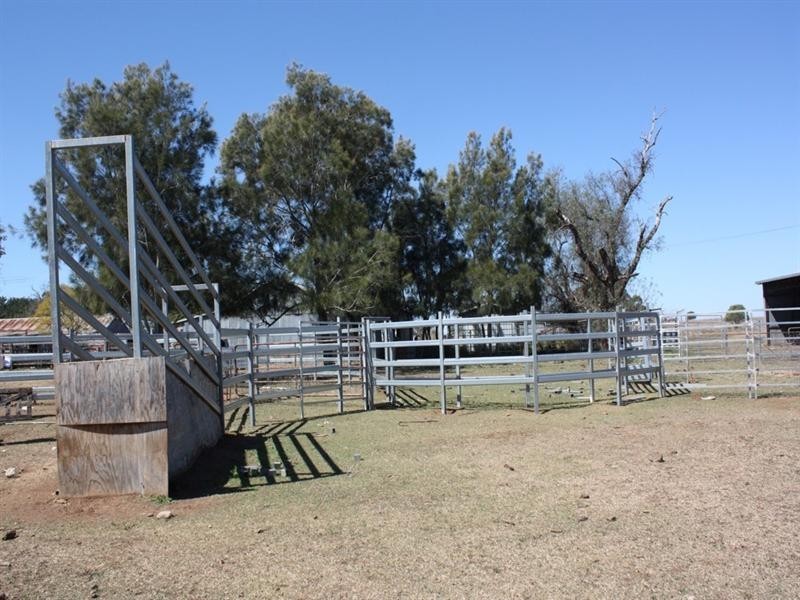 1698 Evanslea Road, Jondaryan QLD 4403