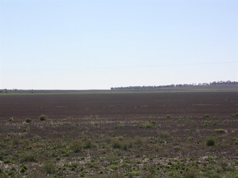 1698 Evanslea Road, Jondaryan QLD 4403