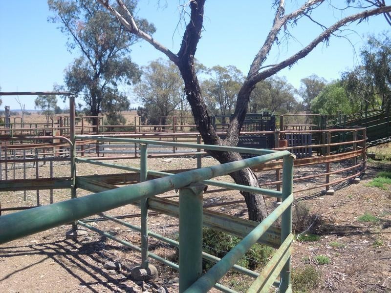 0 Paton, Millmerran QLD 4357