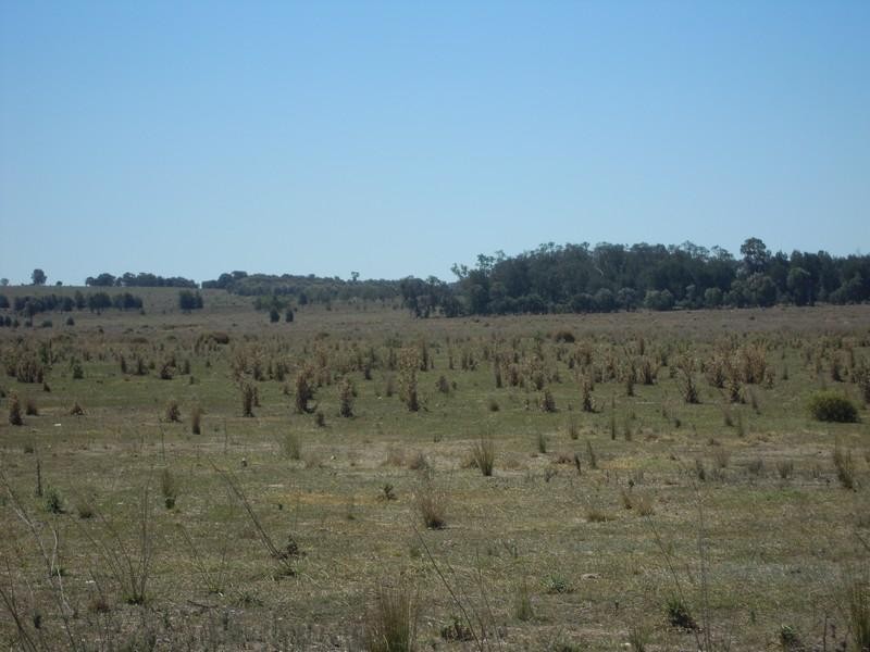 0 Paton, Millmerran QLD 4357