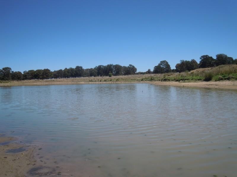 0 Millmerran-Inglewood Road, Millmerran QLD 4357