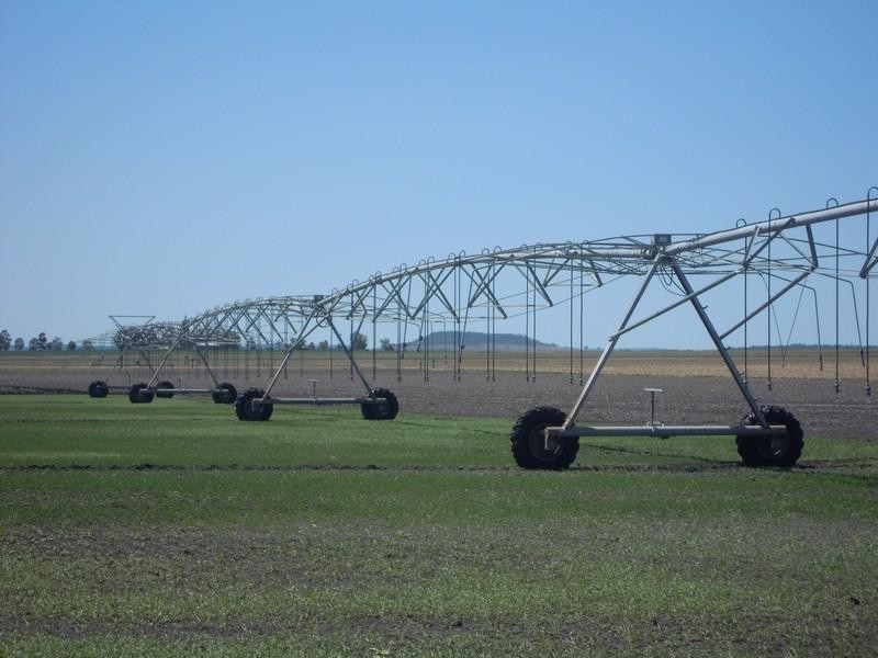 85 Dungannon Road, Clifton QLD 4361