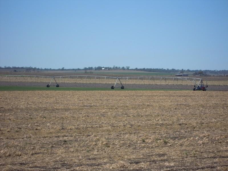 85 Dungannon Road, Clifton QLD 4361