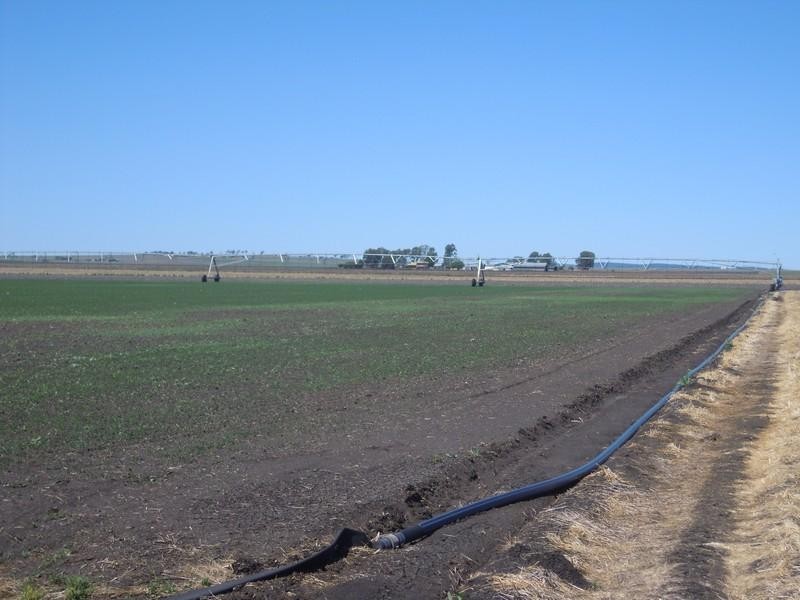 85 Dungannon Road, Clifton QLD 4361