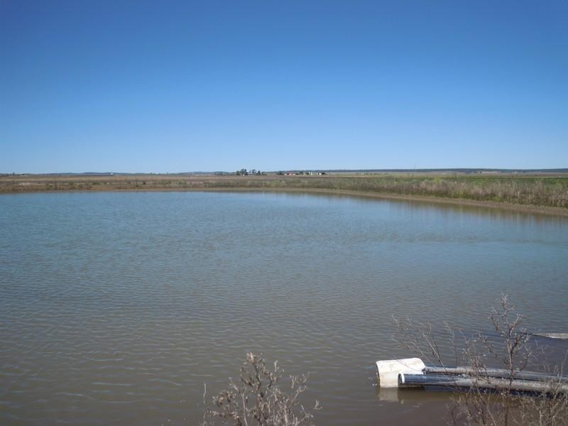 85 Dungannon Road, Clifton QLD 4361