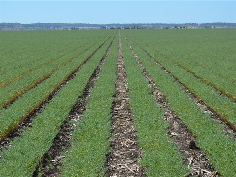 0 Cockburns Road, Yargullen QLD 4401