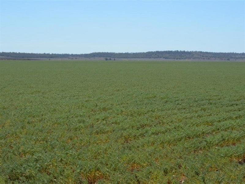 0 Cockburns Road, Yargullen QLD 4401