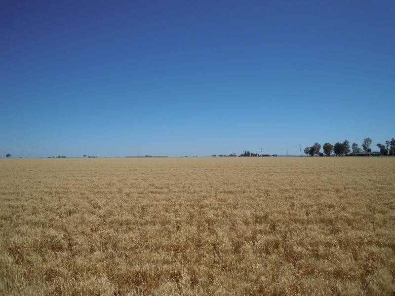 5767 Toowoomba Cecil Plains Road, Norwin QLD 4356