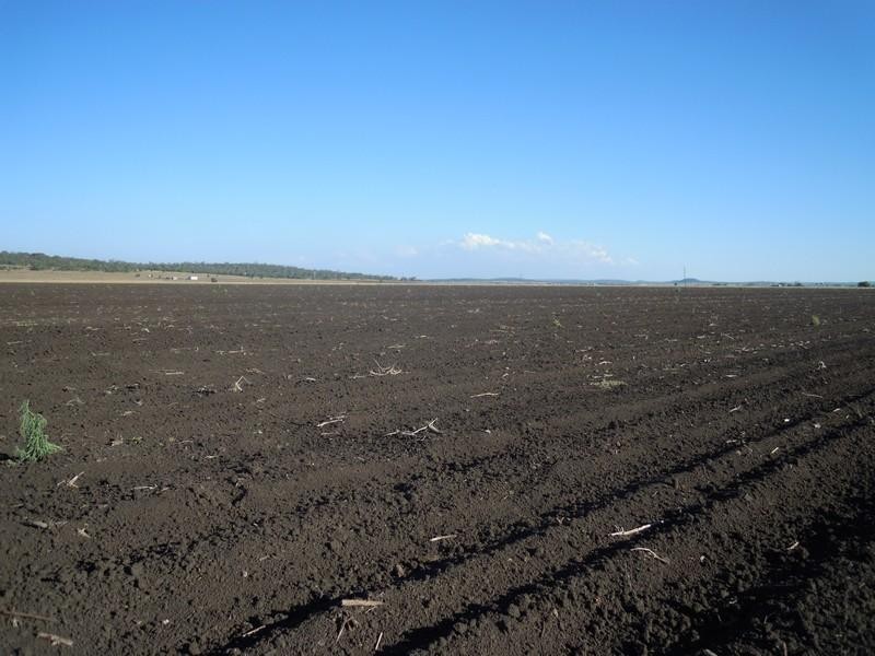 521 Jondaryan Mt Tyson Road, Jondaryan QLD 4403