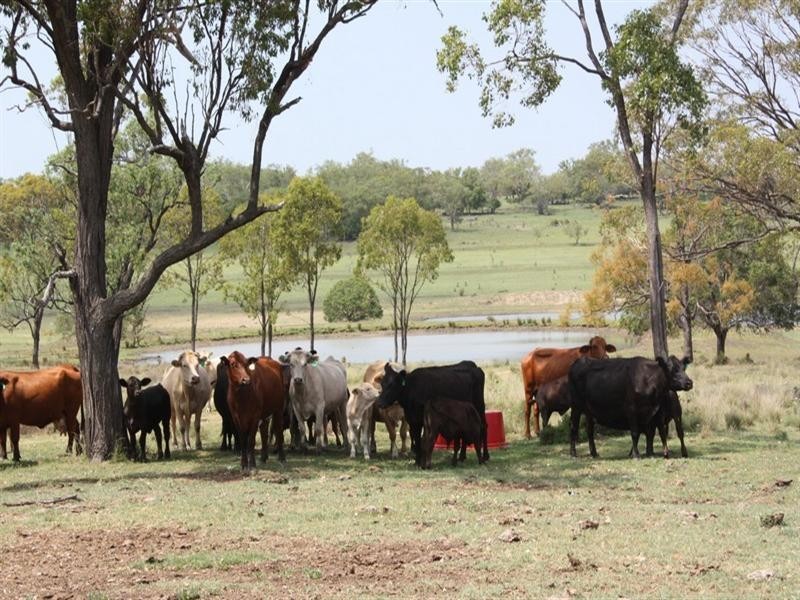 Felton South QLD 4358