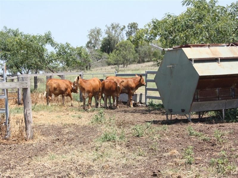 Felton South QLD 4358