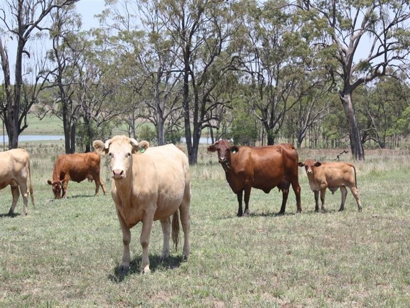 Felton South QLD 4358