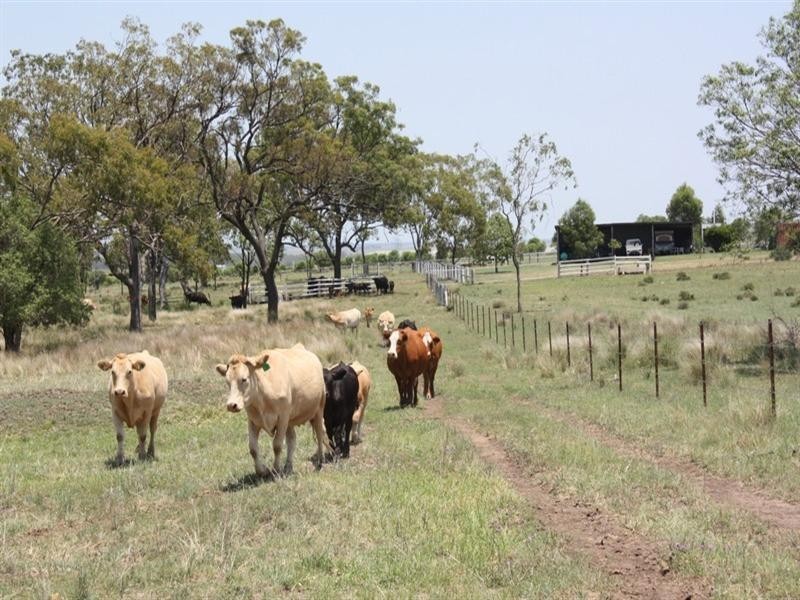 Felton South QLD 4358