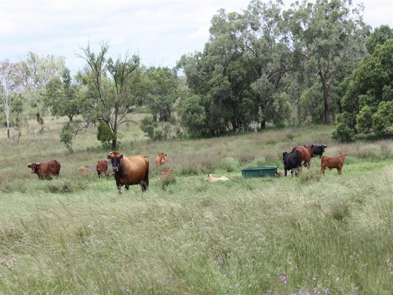 79 Brookvale Park Road, Oakey QLD 4401