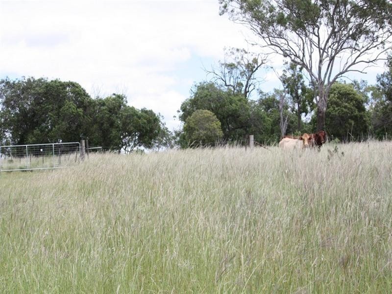 79 Brookvale Park Road, Oakey QLD 4401