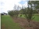 Nobby QLD 4360