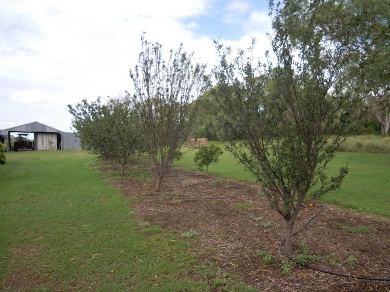 Nobby QLD 4360