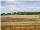 Nobby QLD 4360