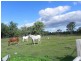 258 Tummaville Road, Leyburn QLD 4365