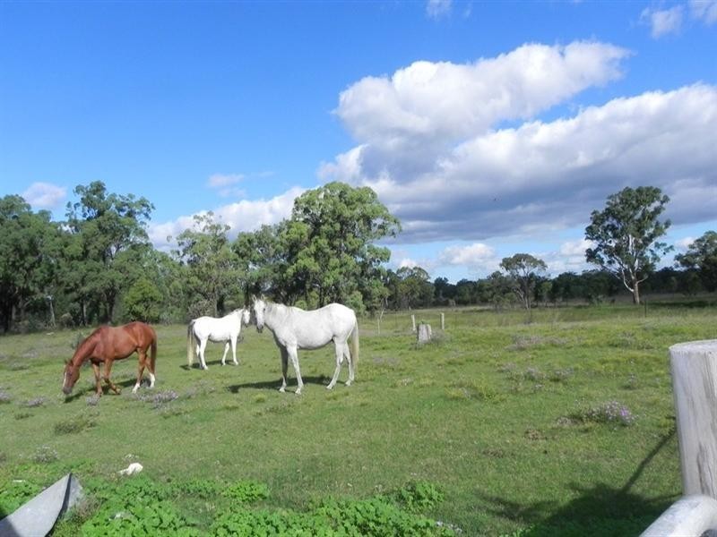 258 Tummaville Road, Leyburn QLD 4365