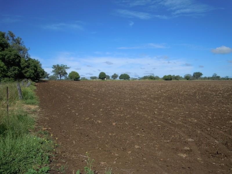 0 Ted Mengel Road, Felton QLD 4358