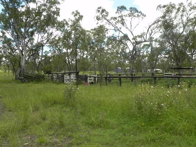 1557 Clifton-Pittsworth Road, Pittsworth QLD 4356